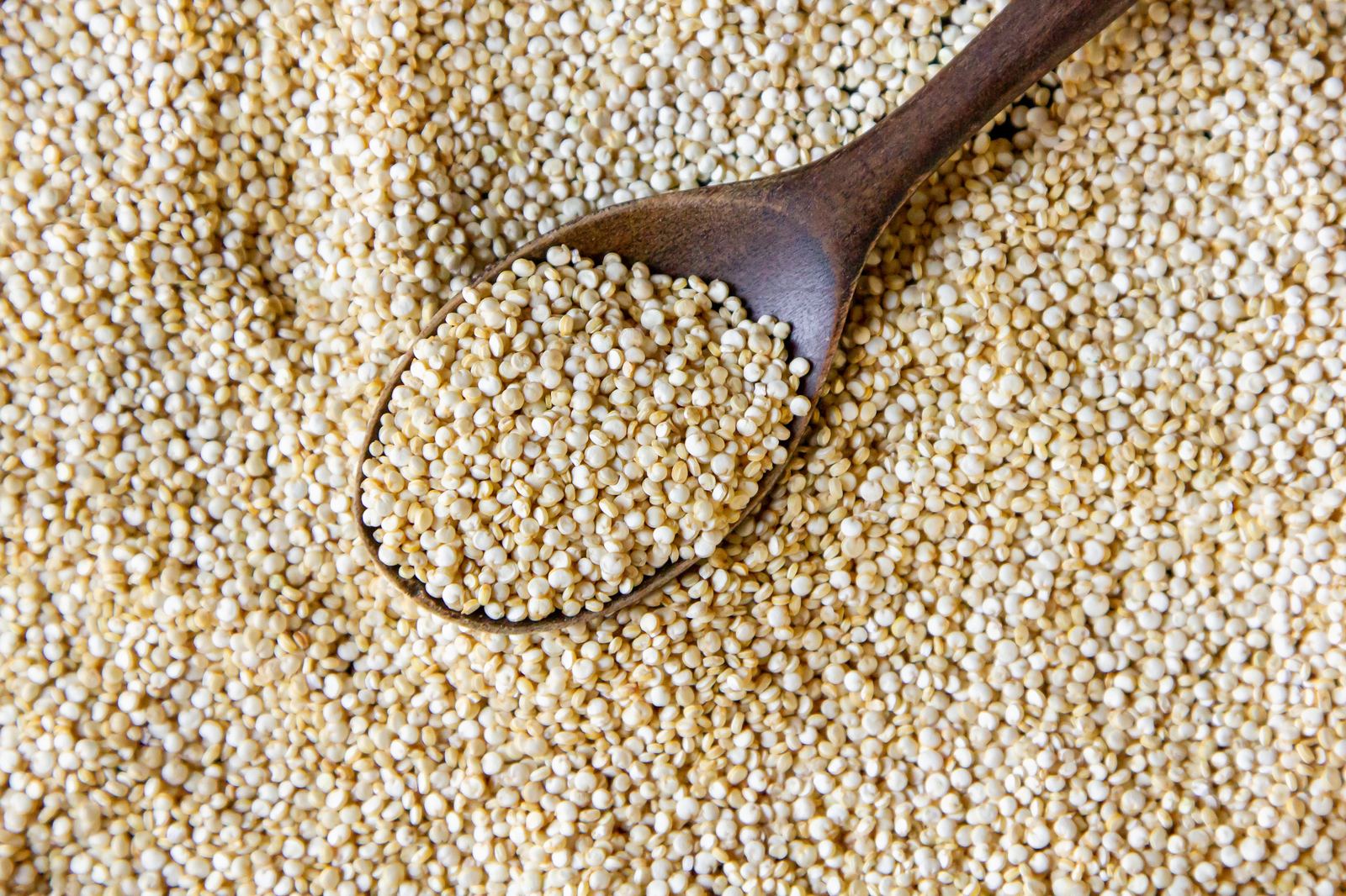 Quinoa em grãos